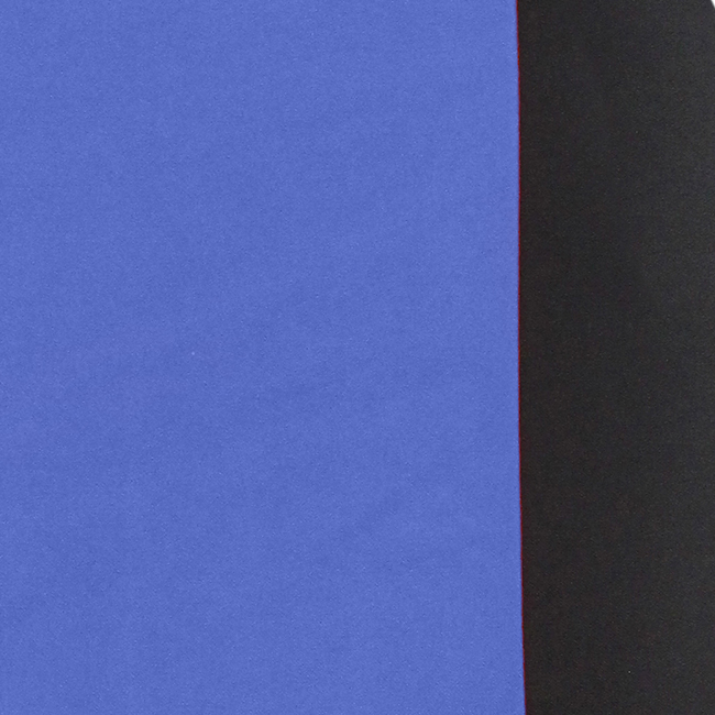 Καλύμματα Αυτοκινήτου Smart Style Μαύρο-Μπλε Σετ 8 Τεμάχια - Image 2