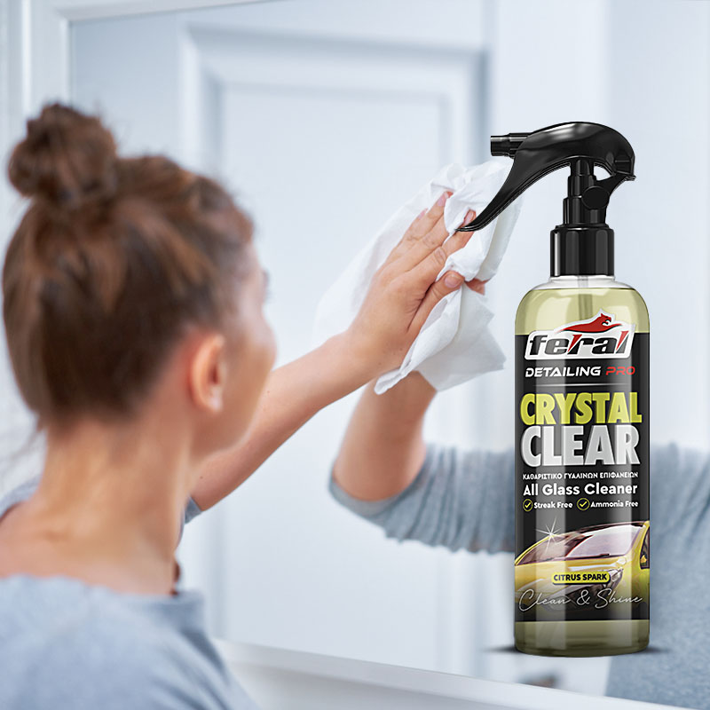 Καθαριστικό Τζαμιών Citrus Spark Feral Detailing Pro 750ml 1 Τεμάχιο - Image 3