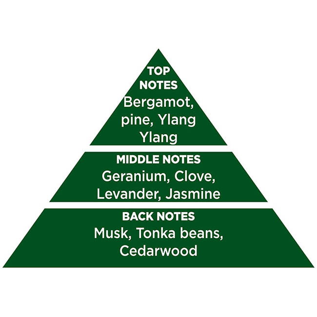 Αρωματικό Αυτοκινήτου Κρεμαστό Feral Classic Collection Nature 1 Τεμάχιο - Image 5