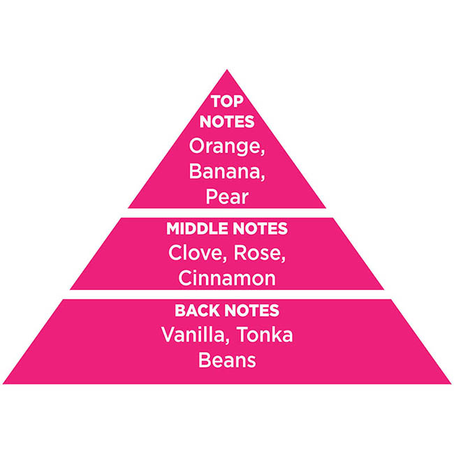 Αρωματικό Αυτοκινήτου Κρεμαστό Feral Classic Collection Bubble 1 Τεμάχιο - Image 5