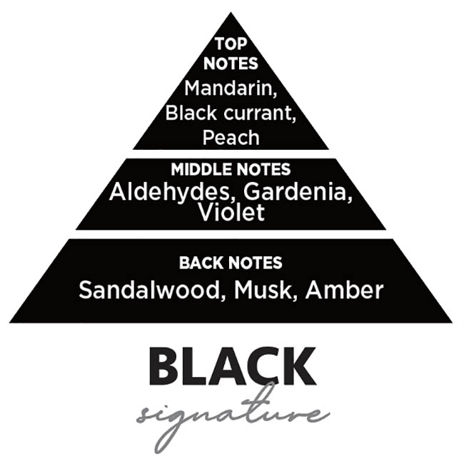 Αρωματικό Αυτοκινήτου Κρεμαστό Feral Basics Collection Black Signature 1 Τεμάχιο - Image 5