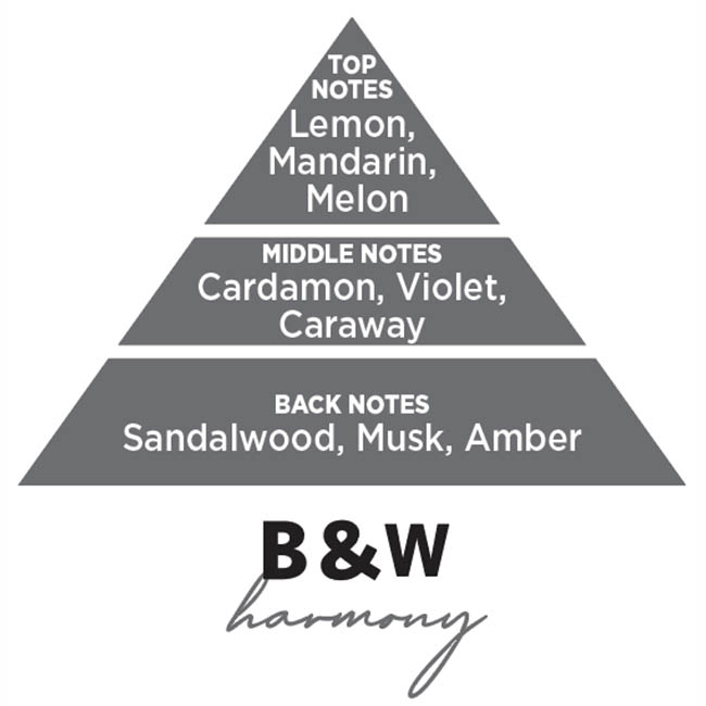 Αρωματικό Αυτοκινήτου Spray Feral Basics Collection Black & White Harmony 70ml 1 Τεμάχιο - Image 3