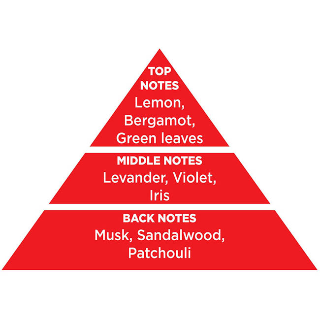 Αρωματικό Αυτοκινήτου Κρεμαστό Feral Classic Collection Fire 1 Τεμάχιο - Image 5