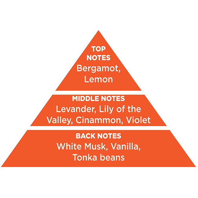 Αρωματικό Αυτοκινήτου Κρεμαστό Feral Classic Collection Species 1 Τεμάχιο - Image 5