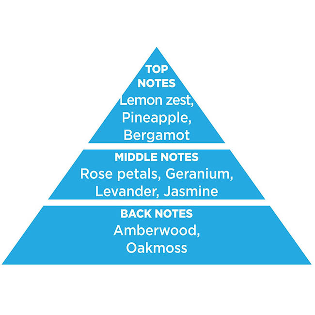 Αρωματικό Αυτοκινήτου Κρεμαστό Feral Classic Collection Water 1 Τεμάχιο - Image 5