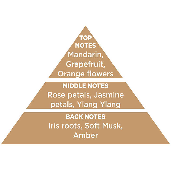 Αρωματικό Αυτοκινήτου Κρεμαστό Feral Classic Collection Earth 1 Τεμάχιο - Image 5