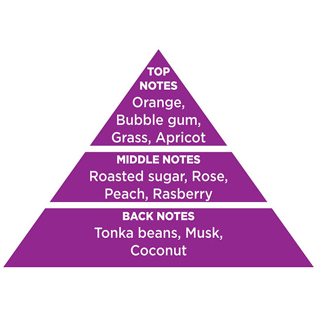 Αρωματικό Αυτοκινήτου Κρεμαστό Feral Classic Collection People 1 Τεμάχιο - Image 5