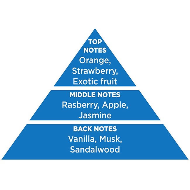 Αρωματικό Αυτοκινήτου Κρεμαστό Feral Classic Collection Breeze 1 Τεμάχιο - Image 5