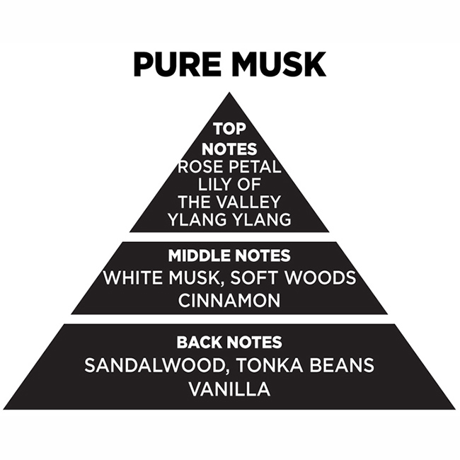 Αρωματικό Κερί Σόγιας Themagio Pure Musk 300gr 1 Τεμάχιο - Image 3