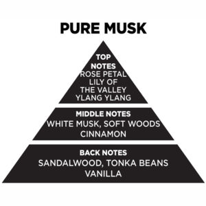 Web Αρωματικό Χώρου Με Sticks – Diffuser Themagio Pure Musk 100ml 1 Τεμάχιο