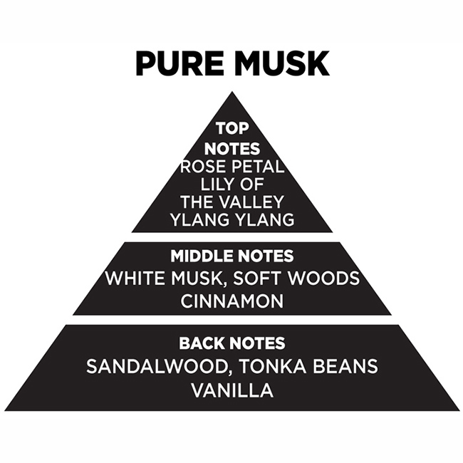 Αρωματικό Χώρου Με Sticks - Diffuser Themagio Pure Musk 100ml 1 Τεμάχιο - Image 2