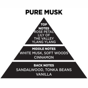 Αρωματικό Χώρου Με Sticks – Diffuser Themagio Pure Musk 200ml 1 Τεμάχιο