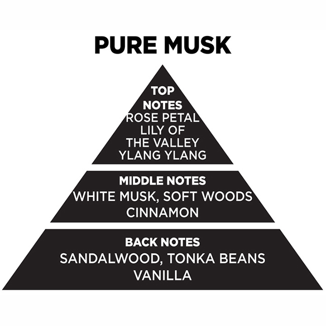 Αρωματικό Χώρου Με Sticks - Diffuser Themagio Pure Musk 200ml 1 Τεμάχιο - Image 2