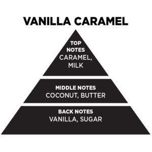 Αρωματικό Χώρου Με Sticks – Diffuser Themagio Vanilla – Caramel 100ml 1 Τεμάχιο