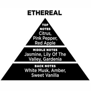 Αρωματικό Χώρου Με Sticks – Diffuser Themagio Ethereal 100ml 1 Τεμάχιο