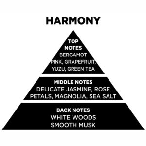 Αρωματικό Χώρου Με Sticks – Diffuser Themagio Harmony 100ml 1 Τεμάχιο