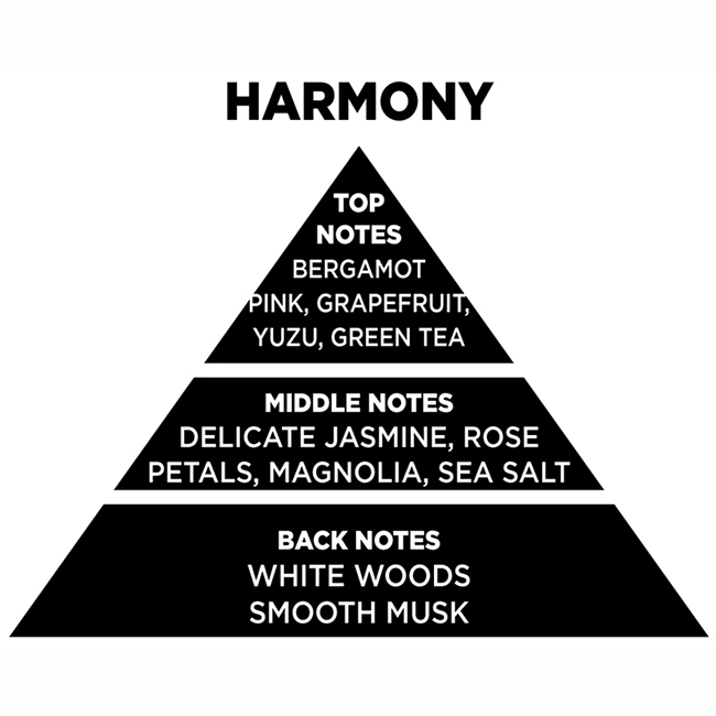 Αρωματικό Χώρου Με Sticks - Diffuser Themagio Harmony 100ml 1 Τεμάχιο - Image 2