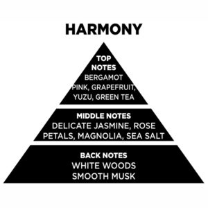 Web Αρωματικό Χώρου Με Sticks – Diffuser Themagio Harmony 200ml 1 Τεμάχιο