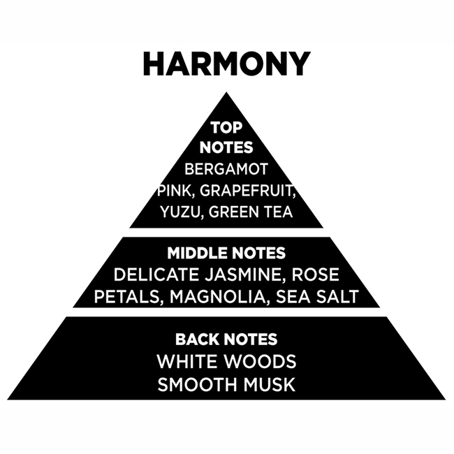 Αρωματικό Χώρου Με Sticks - Diffuser Themagio Harmony 200ml 1 Τεμάχιο - Image 2