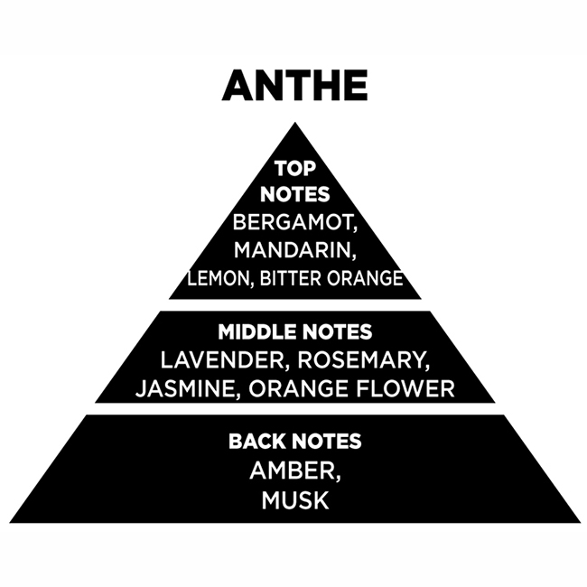 Αρωματικό Χώρου Με Sticks - Diffuser Themagio Anthe 100ml 1 Τεμάχιο - Image 2