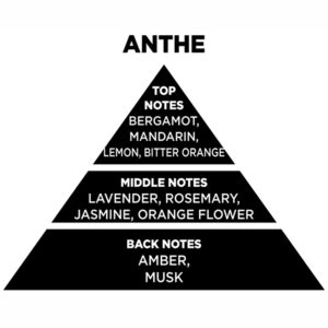 Αρωματικό Χώρου Με Sticks – Diffuser Themagio Anthe 200ml 1 Τεμάχιο