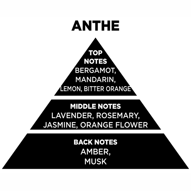 Αρωματικό Χώρου Με Sticks - Diffuser Themagio Anthe 200ml 1 Τεμάχιο - Image 2