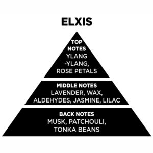 Web Αρωματικό Χώρου Με Sticks – Diffuser Themagio Elxis 100ml 1 Τεμάχιο