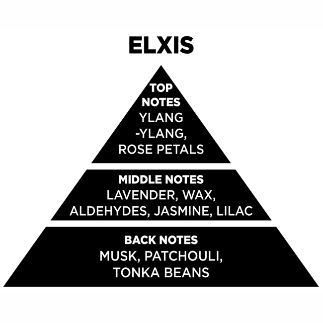 Αρωματικό Χώρου Με Sticks - Diffuser Themagio Elxis 200ml 1 Τεμάχιο - Image 2