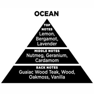 THEMAGIO_PYRAMIDS Αρωματικό Χώρου Με Sticks – Diffuser Themagio Ocean 100ml 1 Τεμάχιο