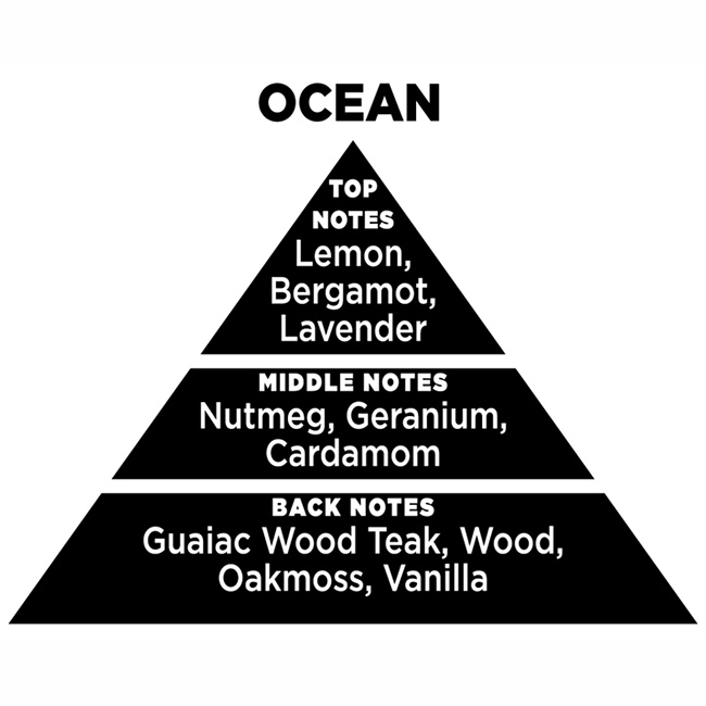 Αρωματικό Χώρου Με Sticks - Diffuser Themagio Ocean 100ml 1 Τεμάχιο - Image 2