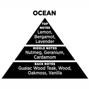 Αρωματικό Χώρου Με Sticks – Diffuser Themagio Ocean 200ml 1 Τεμάχιο