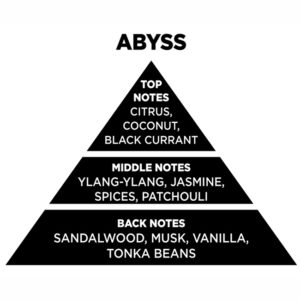 Αρωματικό Χώρου Με Sticks – Diffuser Themagio Abyss 100ml 1 Τεμάχιο