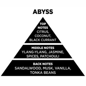 Αρωματικό Χώρου Με Sticks – Diffuser Themagio Abyss 200ml 1 Τεμάχιο