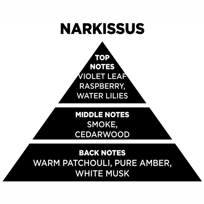 Αρωματικό Χώρου Με Sticks - Diffuser Themagio Narcissus 100ml 1 Τεμάχιο - Image 2