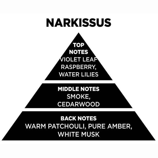 Αρωματικό Χώρου Με Sticks - Diffuser Themagio Narcissus 200ml 1 Τεμάχιο - Image 2