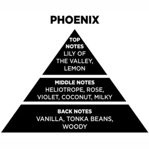 Αρωματικό Χώρου Με Sticks – Diffuser Themagio Phoenix 100ml 1 Τεμάχιο