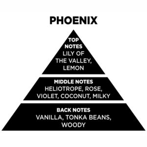 Αρωματικό Χώρου Με Sticks – Diffuser Themagio Phoenix 200ml 1 Τεμάχιο