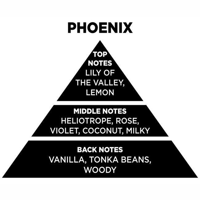 Αρωματικό Χώρου Με Sticks - Diffuser Themagio Phoenix 200ml 1 Τεμάχιο - Image 2