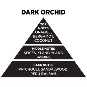 Αρωματικό Χώρου Με Sticks – Diffuser Themagio Dark Orchid 100ml 1 Τεμάχιο