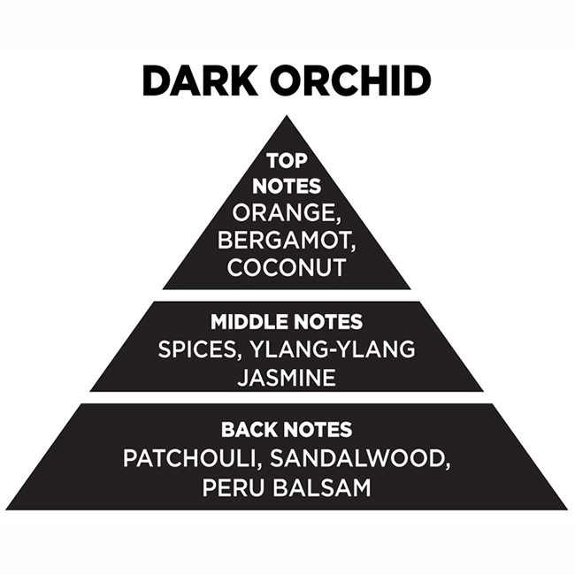 Αρωματικό Χώρου Με Sticks - Diffuser Themagio Dark Orchid 100ml 1 Τεμάχιο - Image 2