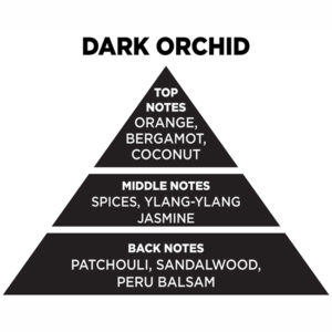 Web Αρωματικό Χώρου Με Sticks – Diffuser Themagio Dark Orchid 200ml 1 Τεμάχιο