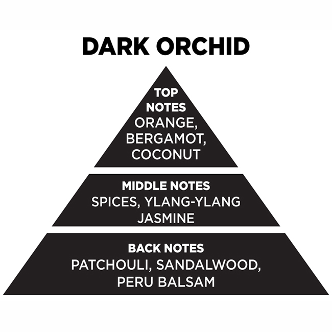 Αρωματικό Χώρου Με Sticks - Diffuser Themagio Dark Orchid 200ml 1 Τεμάχιο - Image 2