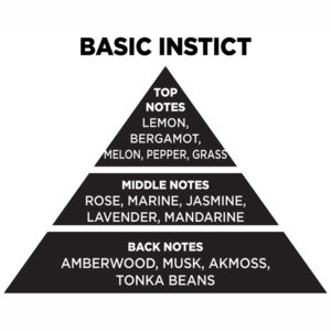 Αρωματικό Χώρου Με Sticks – Diffuser Themagio Basic Instict 100ml 1 Τεμάχιο