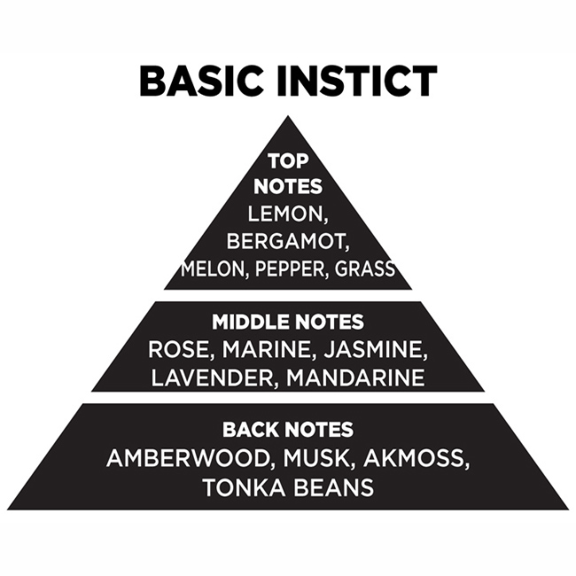 Αρωματικό Χώρου Με Sticks - Diffuser Themagio Basic Instict 100ml 1 Τεμάχιο - Image 2