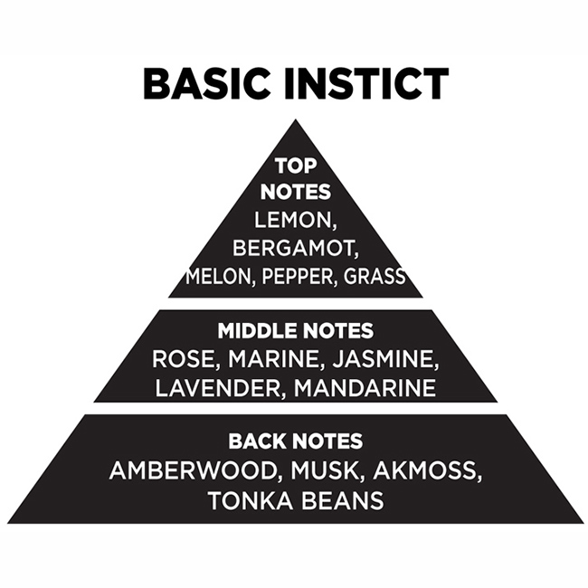 Αρωματικό Χώρου Με Sticks - Diffuser Themagio Basic Instict 200ml 1 Τεμάχιο - Image 3