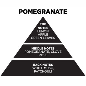 Web Αρωματικό Χώρου Με Sticks – Diffuser Themagio Pomegranate 100ml 1 Τεμάχιο