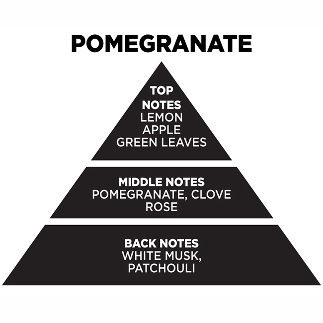 Αρωματικό Χώρου Με Sticks - Diffuser Themagio Pomegranate 100ml 1 Τεμάχιο - Image 2