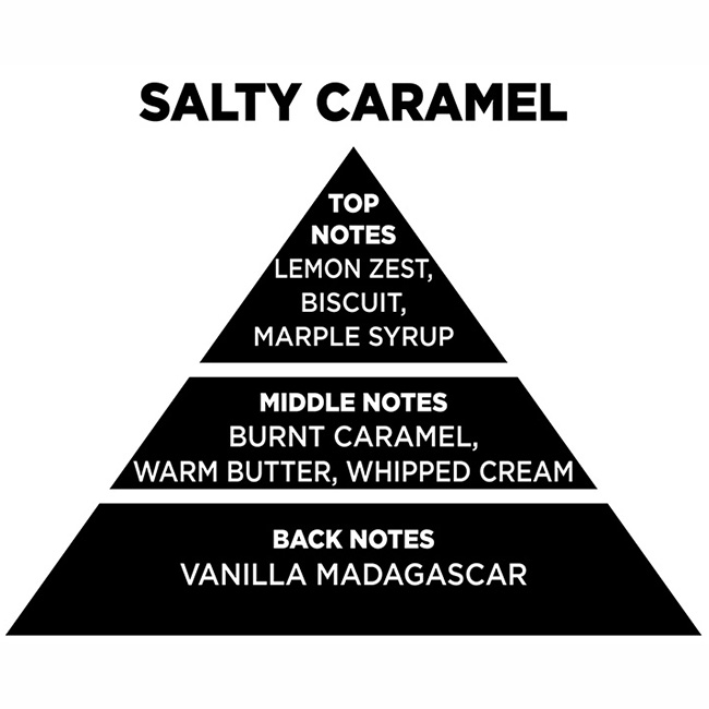 Αρωματικό Χώρου Με Sticks - Diffuser Themagio Salty Caramel 100ml 1 Τεμάχιο - Image 3