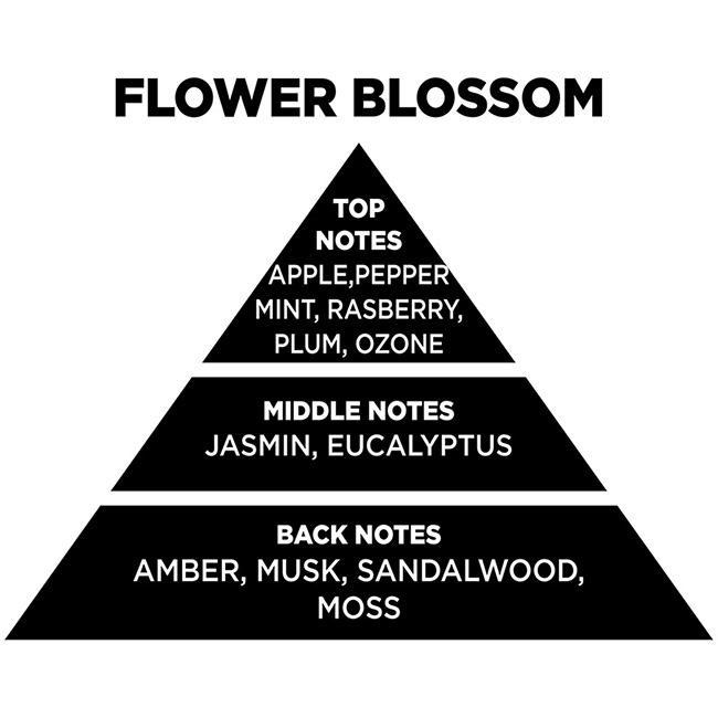 Αρωματικό Wax Melt Σόγιας Themagio Flower Blossom 55gr 1 Τεμάχιο - Image 4