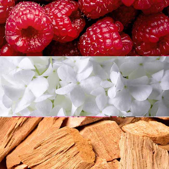 Αρωματικό Wax Melt Σόγιας Themagio Flower Blossom 55gr 1 Τεμάχιο - Image 5